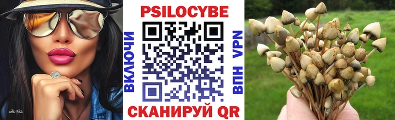 Псилоцибиновые грибы Cubensis  Купить  Сурск 